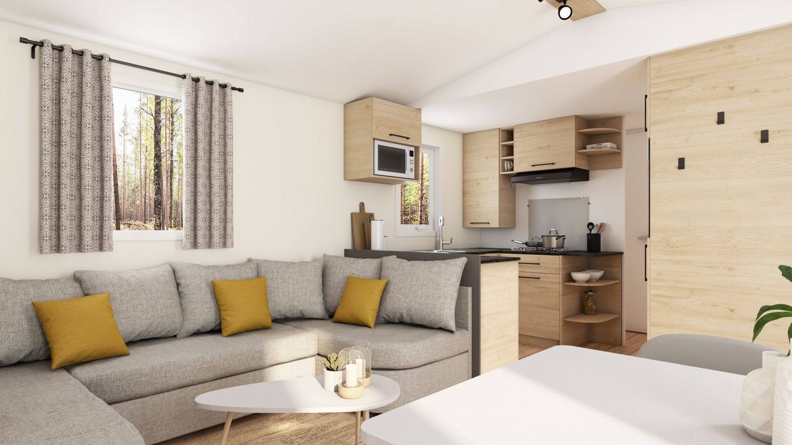 Mobil home Passion 40 - vue salon