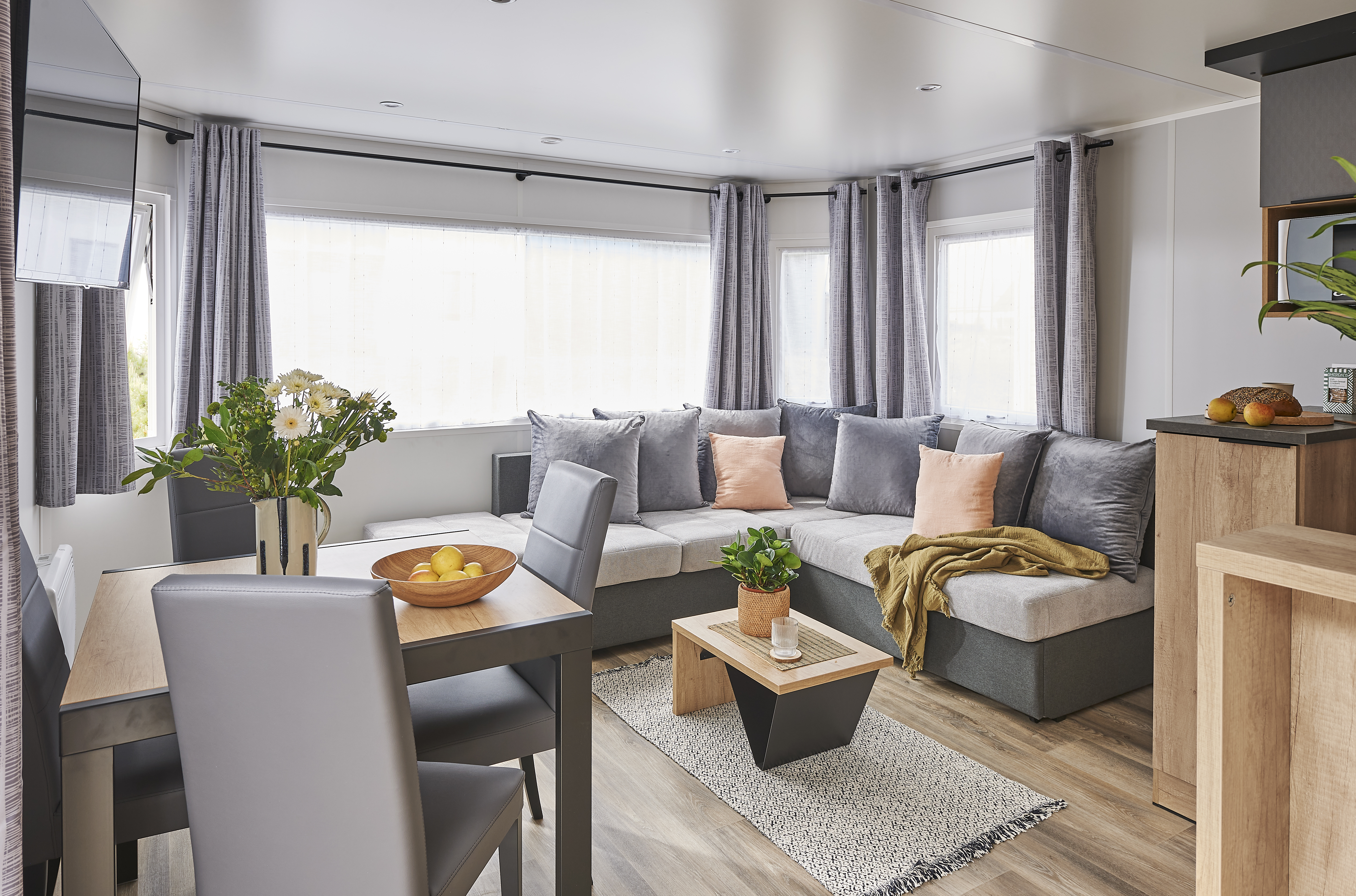 mobil-home Rapidhome - ELITE 1049 - SALON